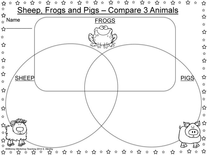 Comparing 2 Animals Activity Comparing Animals Worksheet